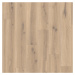 Tarkett Vinylová podlaha lepená iD Inspiration 30 Forest Oak Nutmeg  - dub - Lepená podlaha