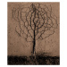 Fotografie Asphalt Tree, Rasto Gallo, 33.5 × 40 cm