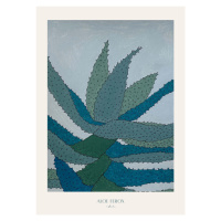 Ilustrace Aloe Ferox, Annika John, 30 × 40 cm