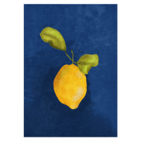 Ilustrace Just a little lemon, Raissa Oltmanns, 30x40 cm