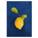 Ilustrace Just a little lemon, Raissa Oltmanns, 30 × 40 cm