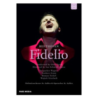 Various: Fidelio - A film by Jan Schmidt-Garre (2x DVD) - DVD