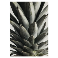 Fotografie Pineapple close up, Studio Collection, 26.7 × 40 cm