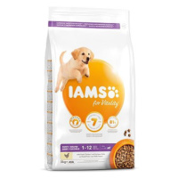 IAMS Dog Puppy Large Chicken 3 kg