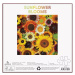 Galison Puzzle Květy slunečnic 500 dílků