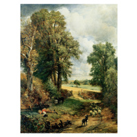 Obrazová reprodukce The Cornfield (1826), John Constable, 30 × 40 cm