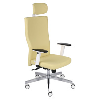 Kancelářská židle Team Plus HD W Chrome