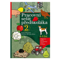 Pracovní sešit předškoláka 2 - Ivana Novotná