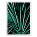 Dekoria Plakát Dark Palm Tree, 21 x  30 cm, Volba rámku: Bílý