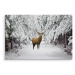 MyBestHome BOX Plátno Jelen V Zimním Lese Varianta: 90x60