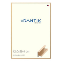 DANTIK rámeček 42 × 59,4, ALU profil 6001 Zlatý lesklý plexi čiré