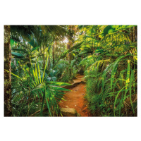 KOMR 989-8 Komar obrazová otiratelná fototapeta Komar Jungle Trail, velikost 368x254 cm