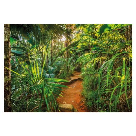 KOMR 989-8 Komar obrazová otiratelná fototapeta Komar Jungle Trail