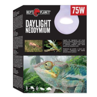 Žárovka REPTI PLANET Daylight Neodymium 75 W