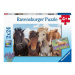 Ravensburger Fotky koní Puzzle 2x24 dílků