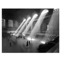 Obrazová reprodukce Grand Central Station Sunbeams, (40 x 30 cm)