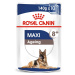 ROYAL CANIN MAXI Ageing 8+ mokré krmivo pro starší velké psy 20 × 140 g
