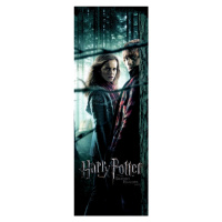 Umělecký tisk Harry Potter - Relikvie smrti, (64 x 180 cm)