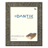 DANTIK rámeček 40 × 50, Dora Silver sklo čiré