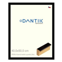 DANTIK rámeček 40 × 50, PERLA černý lesklý vysoký plexi čiré