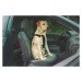 Beeztees bezpečnostní pás do auta pro psa XL