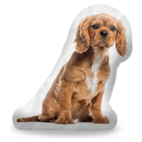 Sablio 3D polštář ve tvaru King charles spaniel