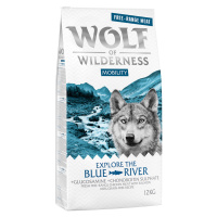 Wolf of Wilderness „Explore The Blue River“ Mobility – kuře z volného chovu a losos - 2 x 12 kg
