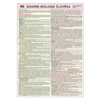 SOUHRN BIOLOGIE ČLOVĚKA pro SŠ A4