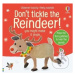 Don't Tickle the Reindeer! - Sam Taplin, Ana Martin Larranaga (ilustrátor) - kniha z kategorie P