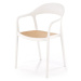 Halmar Plastová stohovatelná jídelní židle K530