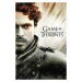 Umělecký tisk Game of Thrones - Robb Stark, (26.7 x 40 cm)