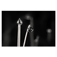 Fotografie Shiny Water Drops in Monochrome, Ali Majdfar, 40 × 26.7 cm