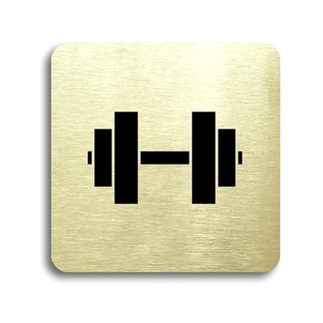 Accept Piktogram "fitness V" (80 × 80 mm) (zlatá tabulka - černý tisk bez rámečku)