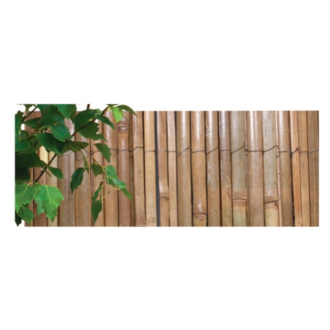 Rohož - bambus štípaný 1,0 x 5 m Nohel Garden