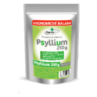 Psyllium vláknina sáček 250g