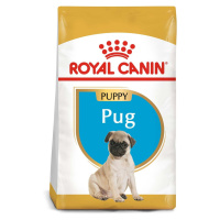 Royal Canin Pug Junior 2 × 1,5 kg
