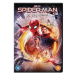 Spider-Man: Bez domova - DVD