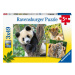 Ravensburger 056668 Panda tygr a lev 3 x 49 dílků