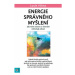 Energie správného myšlení - Jak nám názory a chování ovlivňují zdraví - Luule Viilma