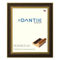 DANTIK rámeček 40 × 50, ZVRATNÝ černozlatý plast sklo čiré