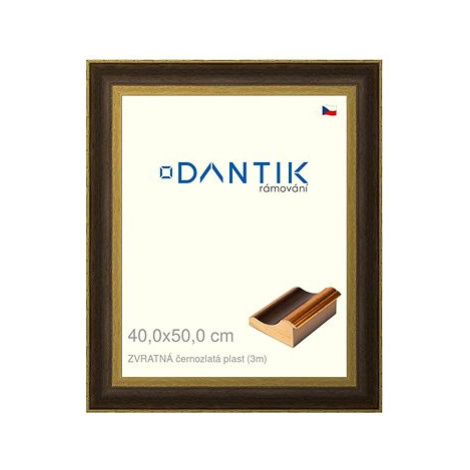 DANTIK rámeček 40 × 50, ZVRATNÝ černozlatý plast sklo čiré