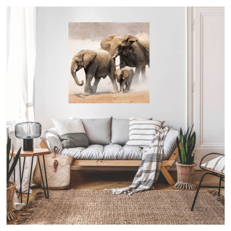 Samolepky na zeď s motivem zvířat - Sloni INSPIO