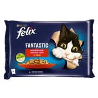 Felix Fantastic s králíkem a jehněčím v želé 4 x 85 g