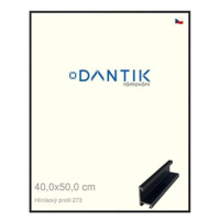 DANTIK rámeček 40 × 50, ALU profil 7273 Černý matný plexi čiré