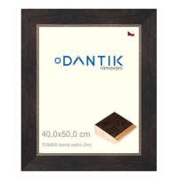 DANTIK rámeček 40 × 50, TOMAS černý velký plexi čiré