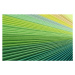 Fotografie Green Paper Pages Stack Radial Gradient, MirageC, 40 × 26.7 cm