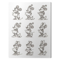 Obraz na plátně Minnie - Multi, 2 cm - 30×40 cm