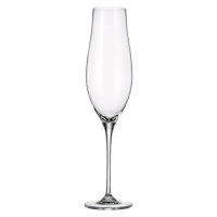 Crystalite Bohemia sklenice na šampaňské Limosa 200 ml 6KS