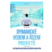 Dynamické vedení a řízení projektů - Systémovým myšlením k úspěšným projektům