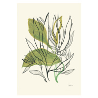 Ilustrace Foliage N.1, Catalina Somolinos, 26.7x40 cm